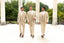 The Wedding Look Experience
